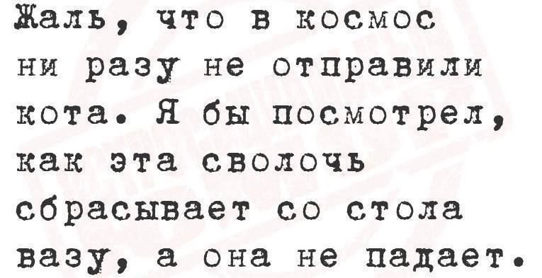 Жаль, что в космос ни разу не отправили кота. Я бы посмотрел, как эта сволочь сбрасывает со стола вазу, а она не падает.