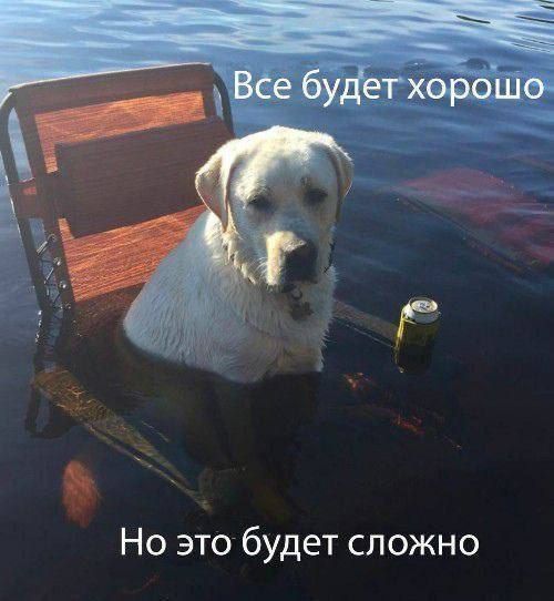 Все будет хорошо Но это будет сложно