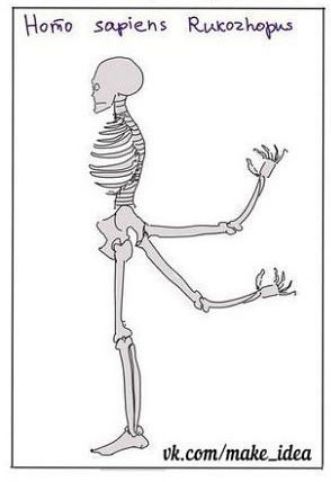 Homo sapiens Rukožopus