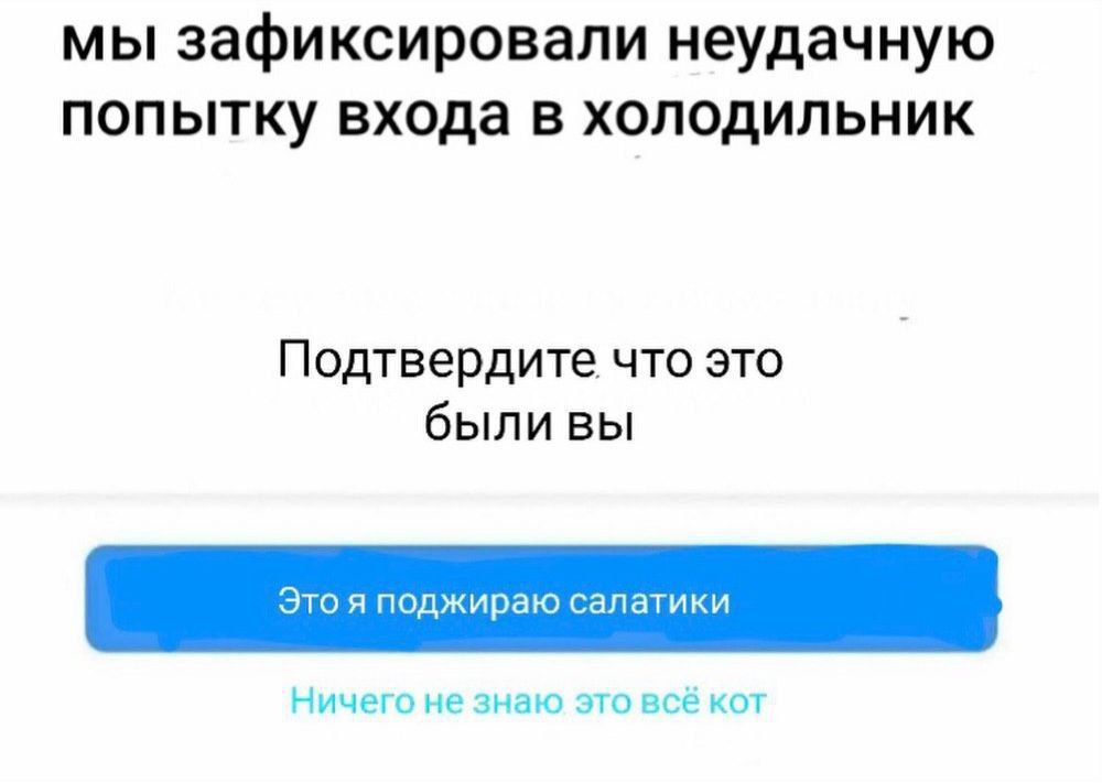 мы зафиксировали неудачную попытку входа в холодильник
Подтвердите что это были вы
Это я поджигаю салатики
Ничего не знаю это всё кот