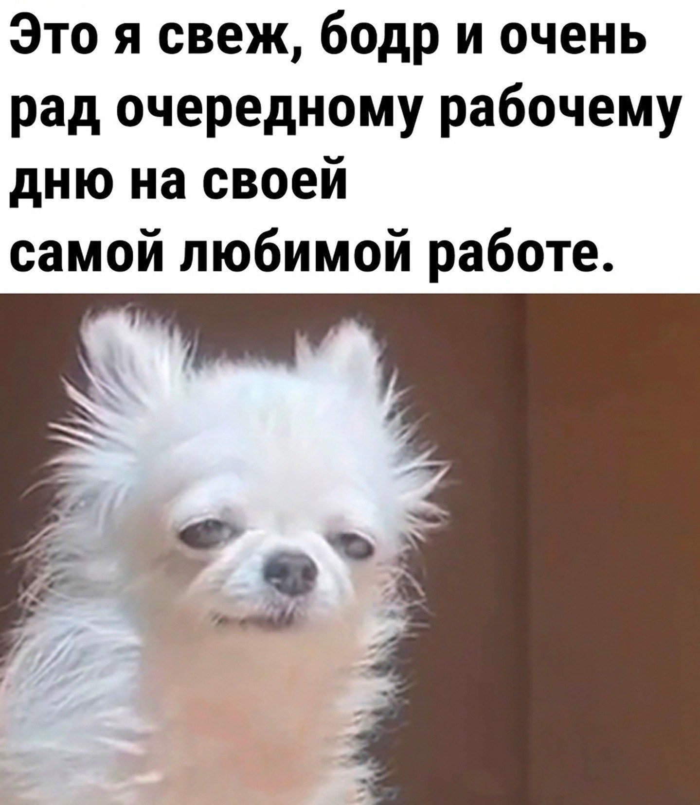 Это я свеж, бодр и очень рад очередному рабочему дню на своей самой любимой работе.