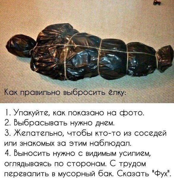 Как правильно выбросить ёлку:
1. Упакуйте, как показано на фото.
2. Выбрасывать нужно днем.
3. Желательно, чтобы кто-то из соседей или знакомых за этим наблюдал.
4. Выносить нужно с видимым усилием, оглядываясь по сторонам. С трудом переносить в мусорный бак. Сказать 