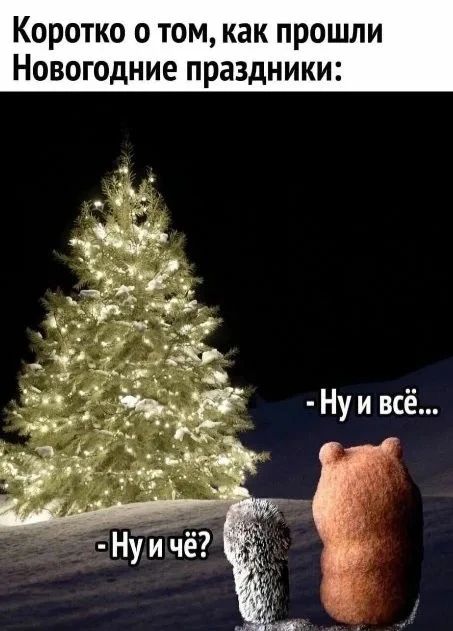 Коротко о том, как прошли Новогодние праздники:
- Ну и всё...
- Ну и чё?