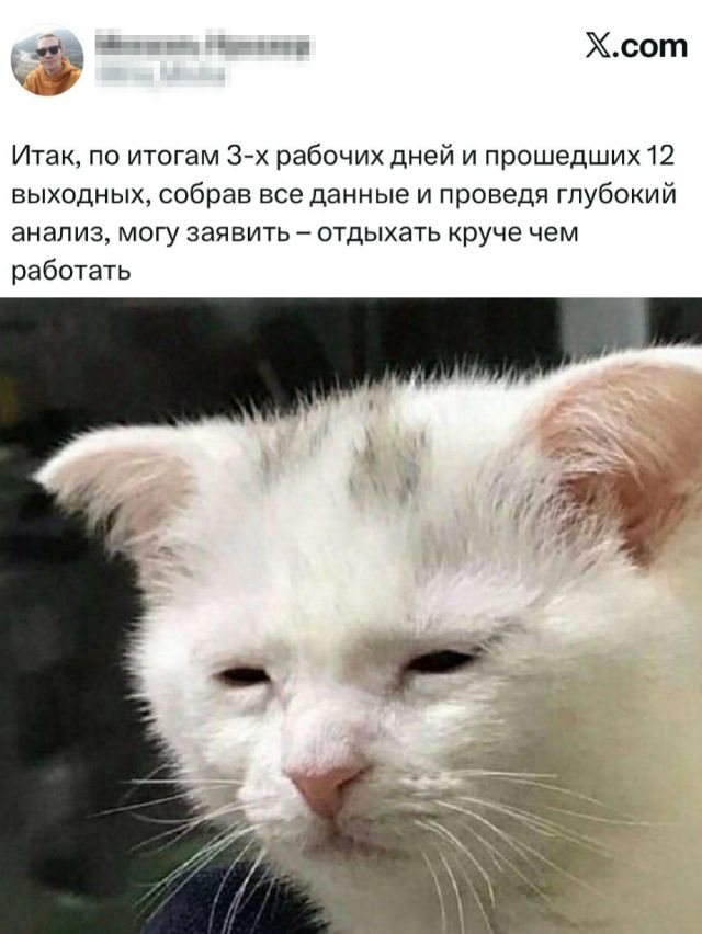 Итак, по итогам 3-х рабочих дней и прошедших 12 выходных, собирая все данные и проводя глубокой анализ, могу заявить – отдыхать круче чем работать