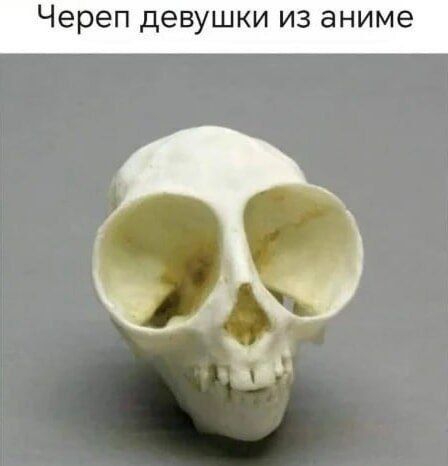 Череп девушки из аниме