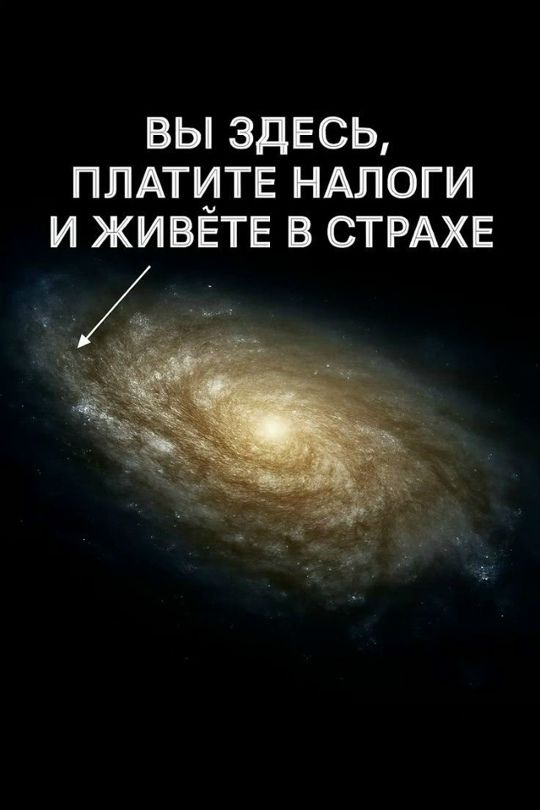 ВЫ ЗДЕСЬ, ПЛАТИТЕ НАЛОГИ И ЖИВЁТЕ В СТРАХЕ