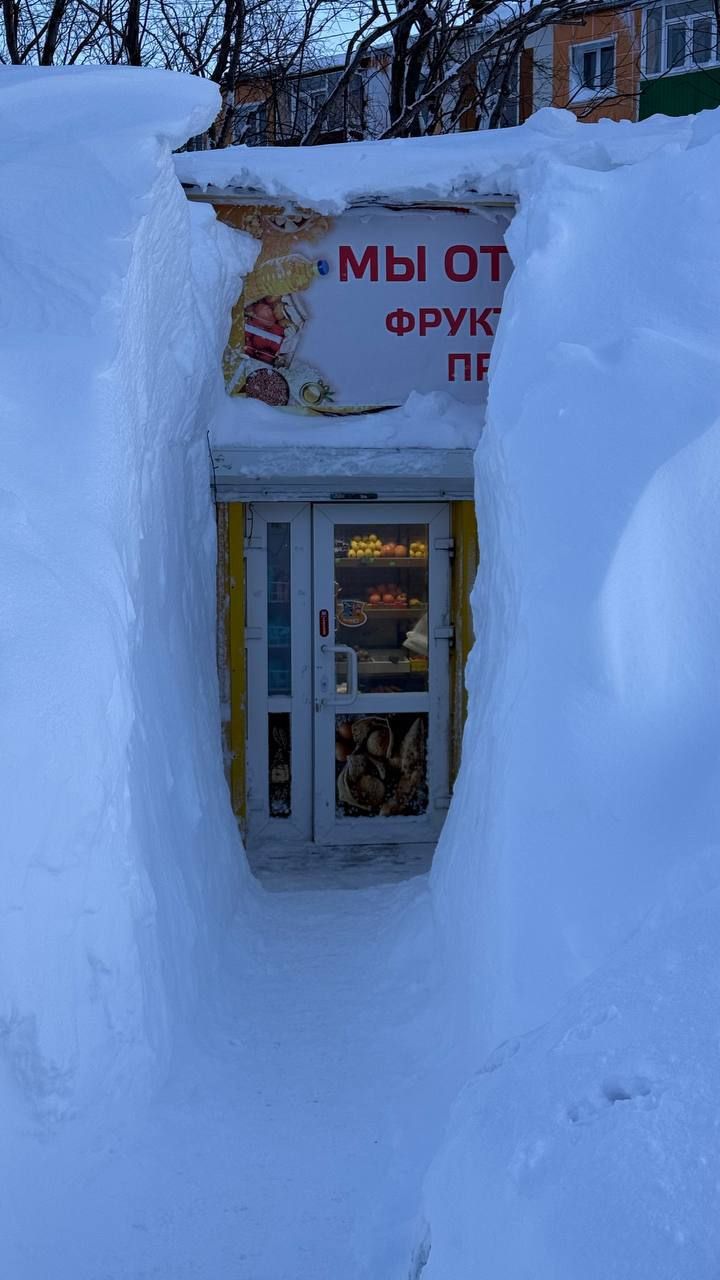 МЫ ОТ ФРУК ТЫ