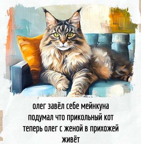 олег завёл себе мейнкуна подумал что прикольный кот теперь олег с женой в прихожей живёт