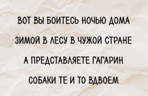 ВОТ ВЫ БОИТЕСЬ НОЧЬЮ ДОМА ЗИМОЙ В ЛЕСУ В ЧУЖОЙ СТРАНЕ А ПРЕДСТАВЛЯЕТЕ ГАГАРИН СОБАКИ ТЕ И ТО ВДВОЕМ