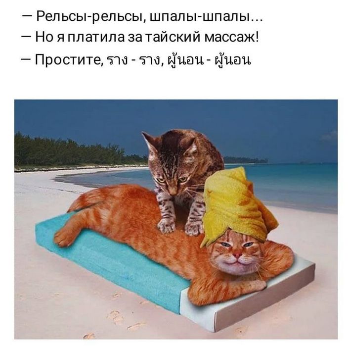 — Рельсы-рельсы, шпалы-шпалы... — Но я платила за тайский массаж! — Простите, рэл- рэл, ....