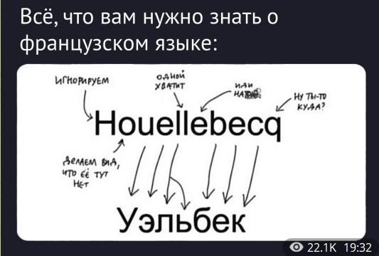 Всё, что вам нужно знать о французском языке: Houellebecq Уэльбек