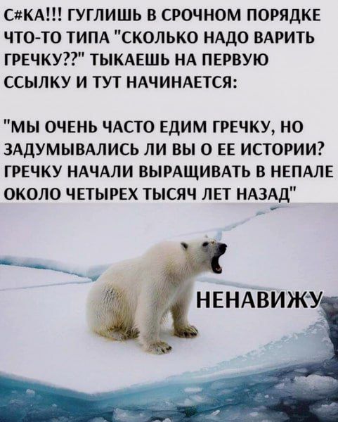 С***!!! гуглишь в срочном порядке что-то типа 'сколько надо варить гречку??' тыкаешь на первую ссылку и тут начинается: 'Мы очень часто едим гречку, но задумывались ли вы о ее истории? Гречку начали выращивать около четырех тысяч лет назад' НЕНАВИЖУ