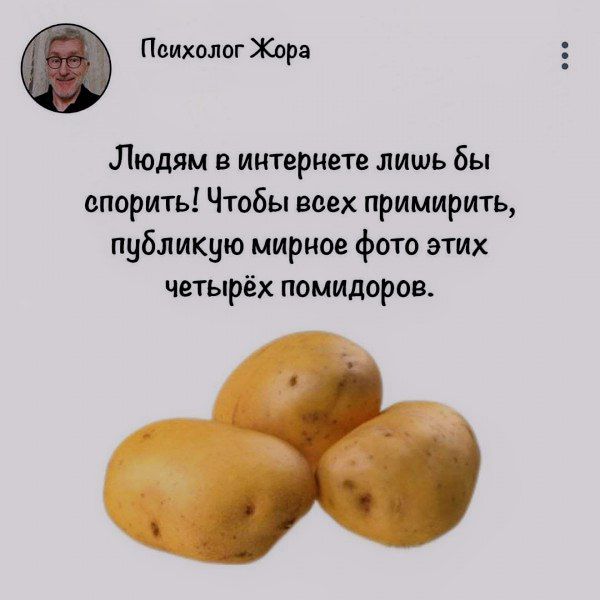 Людям в интернете лишь бы спорить! Чтобы всех примирить, опубликую мирное фото этих четырёх помидоров.