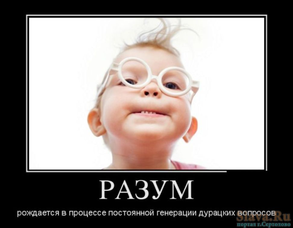 РАЗУМ рождается в процессе постоянной генерации дурацких вопросов