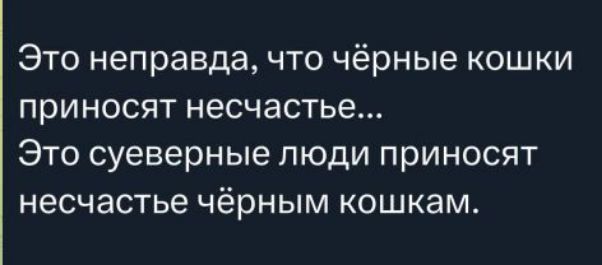 Это неправда, что чёрные кошки приносят несчастье... Это суеверные люди приносят несчастье чёрным кошкам.