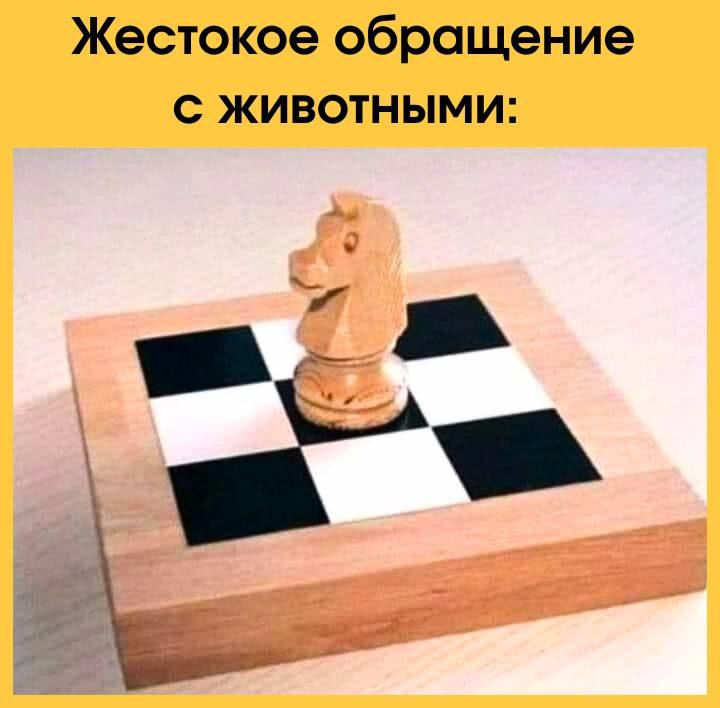 Жестокое обращение с животными: