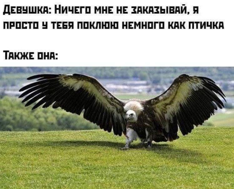 Девушка: Ничего мне не заказывавай, я просто у тебя поклюю немножко как птичка\n\nТакже она: