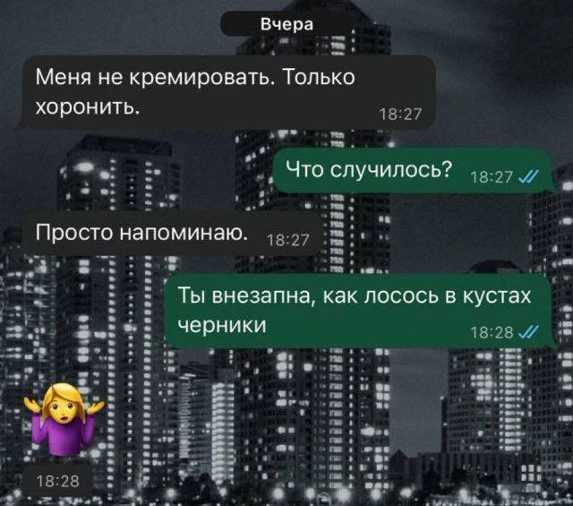 Вчера
Меня не кремировать. Только хоронить.
Что случилось?
Просто напоминаю.
Ты внезапна, как лосось в кустах черники