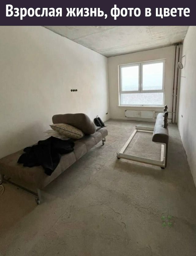 Взрослая жизнь, фото в цвете
