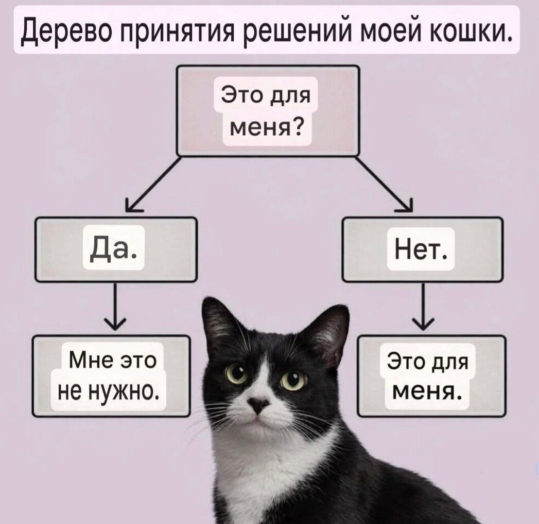Дерево принятия решений моей кошки. Это для меня? Да. Мне это не нужно. Нет. Это для меня.
