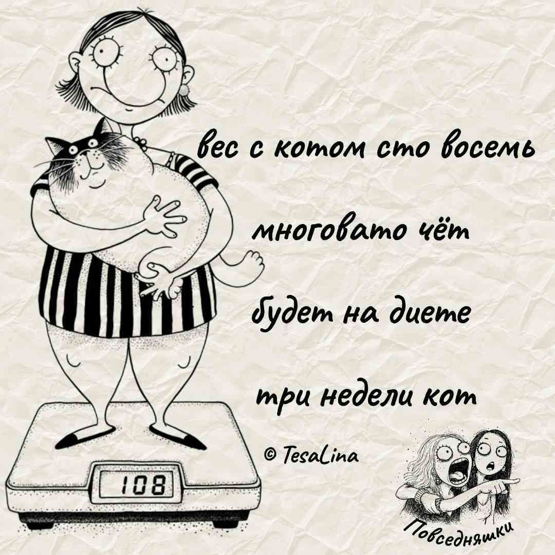 вес с котом сто восемь много чего будет на диете три недели кот
