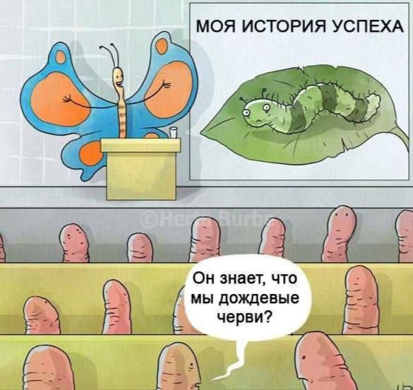 МОЯ ИСТОРИЯ УСПЕХА
Он знает, что мы дождевые черви?