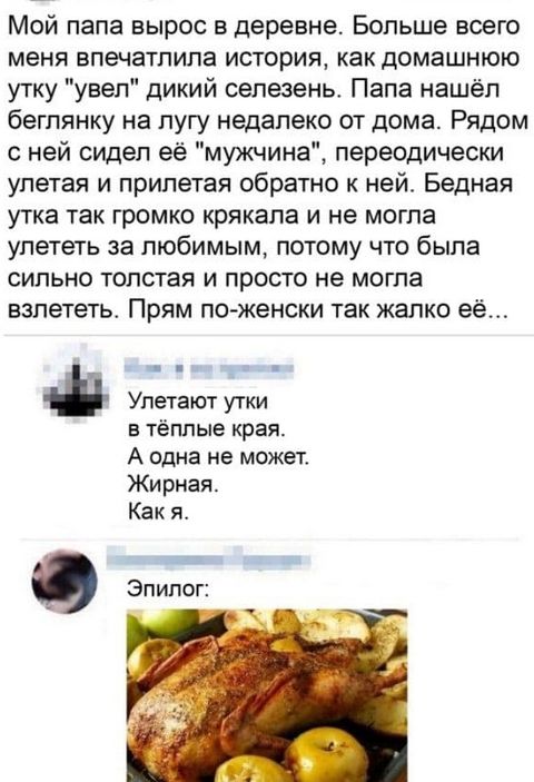 Мой папа вырос в деревне. Больше всего меня впечатлила история: как домашнюю утку 'увёл' дикий селезень. Папа нашёл беглянку на лугу недалеко от дома. Рядом с ней сидел её 'мужчина', переодически улетая и прилетая обратно к ней. Бедная утка так громко крякла и не могла улететь за любимым, потому что была толстой.