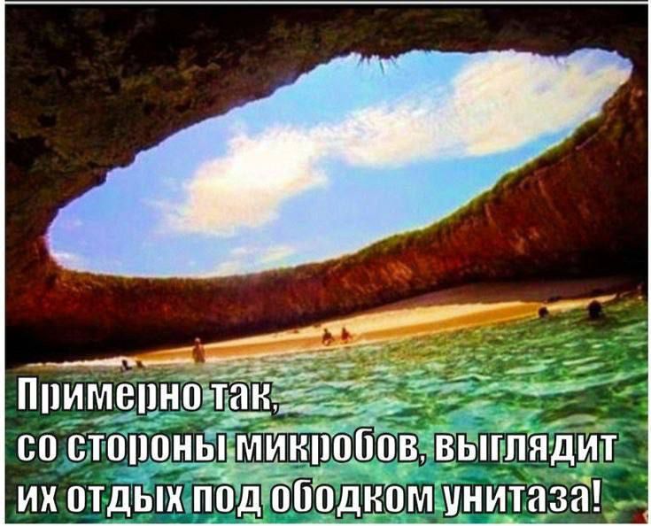 Примерно так, со стороны микробов, выглядет их отдых под ободком унитаза!