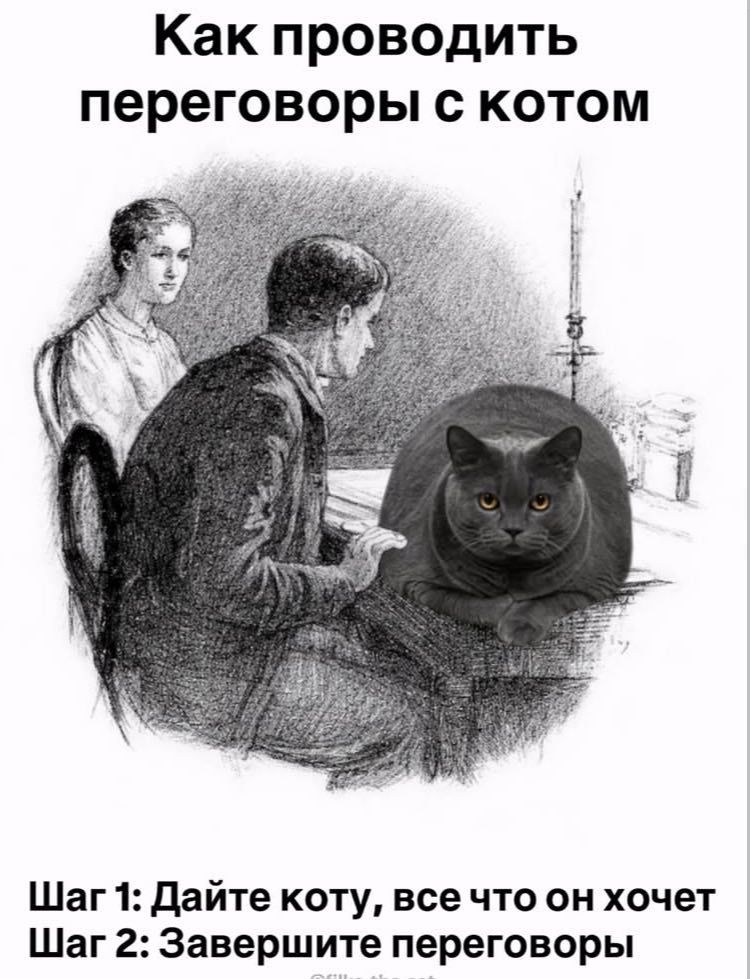 Как проводить переговоры с котом Шаг 1: Дайте коту, все что он хочет Шаг 2: Завершите переговоры