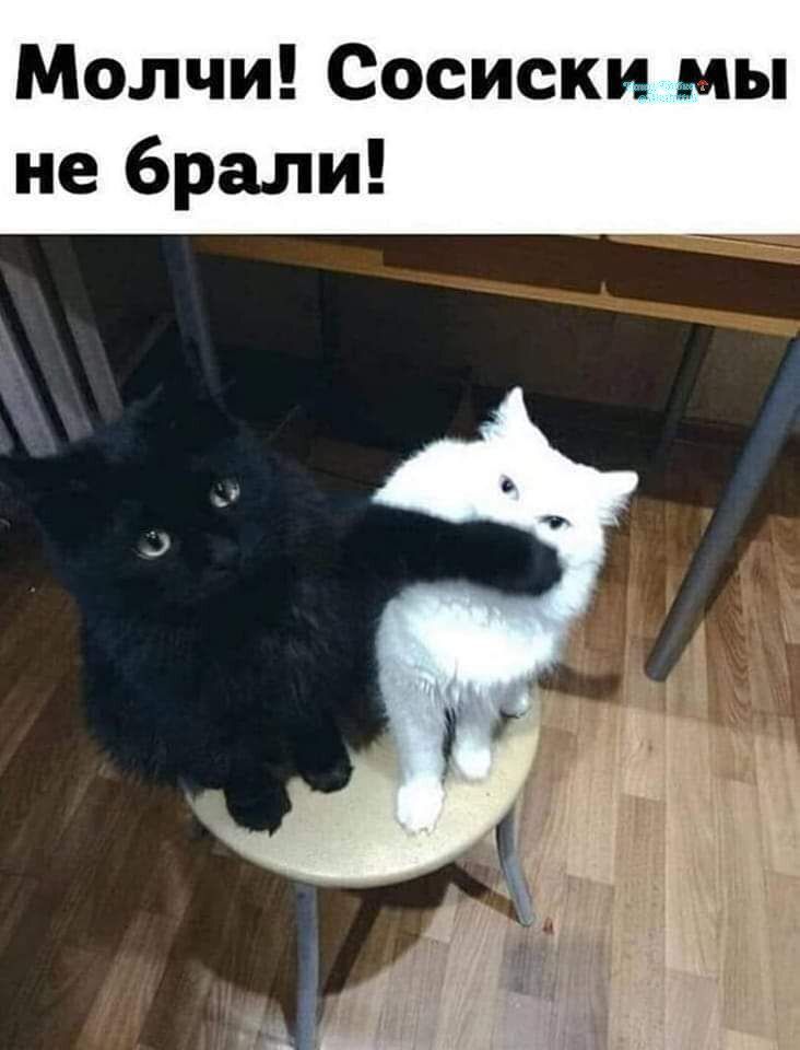 Молчи! Сосиски мы не брали!