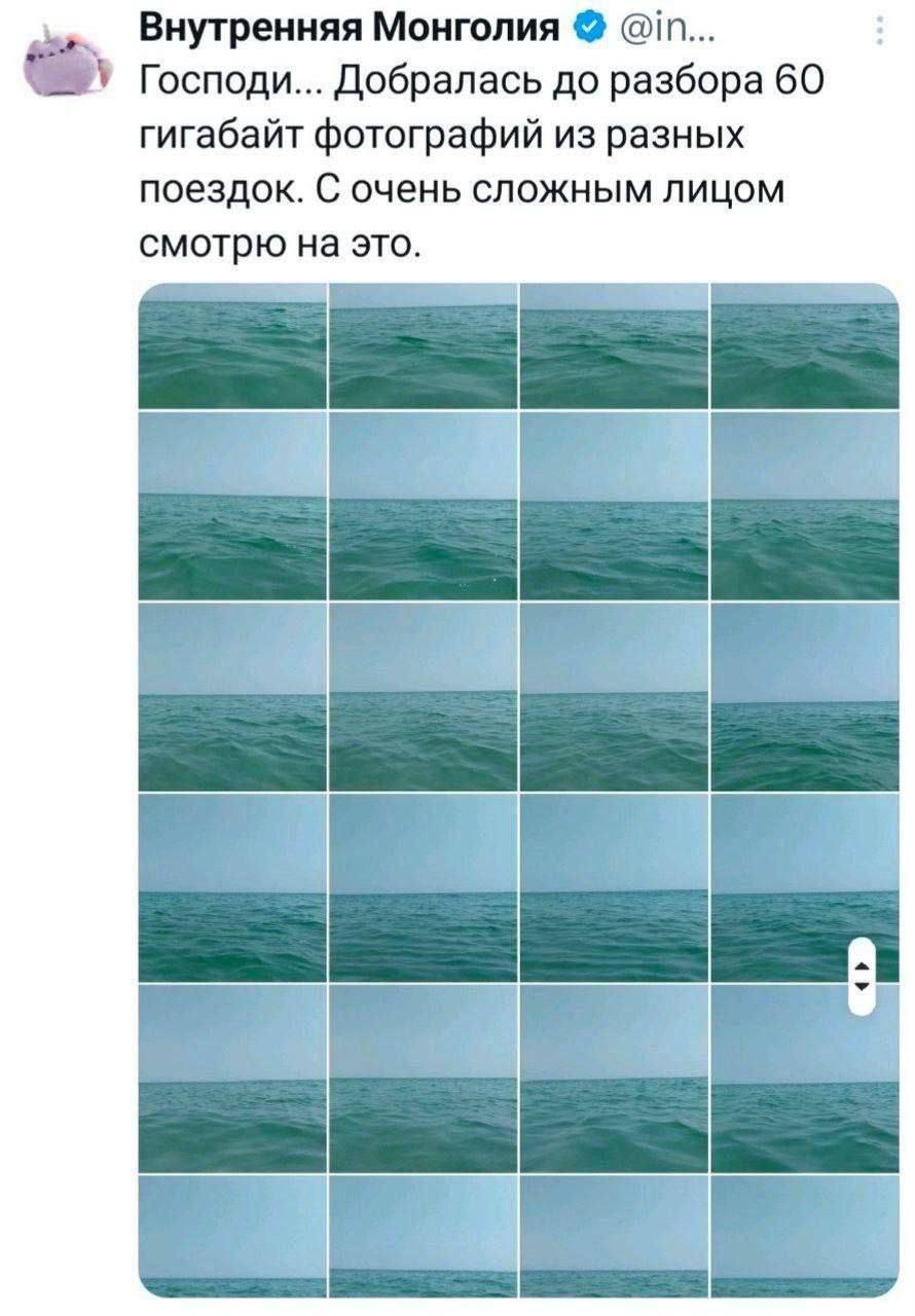 Господи... Добралась до разбора 60 гигабайт фотографий из разных поездок. С очень сложным лицом смотрю на это.