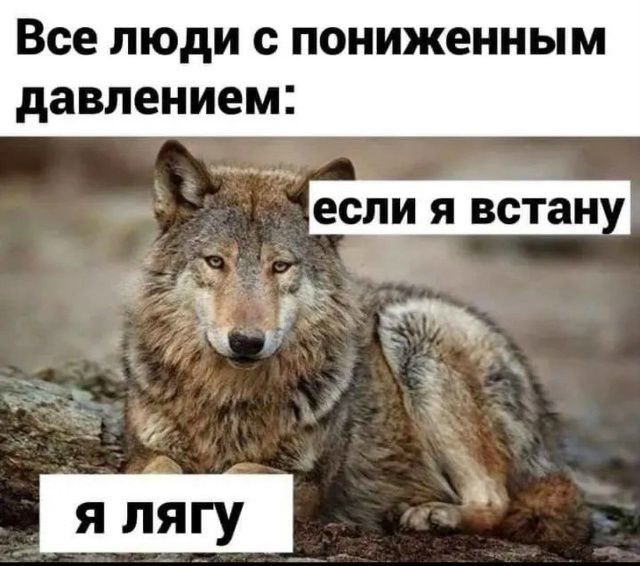 Все люди с пониженным давлением: если я встану я лягу