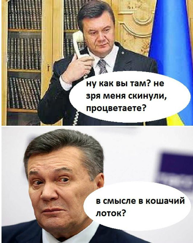 ну как вы там? не зря меня скинули, процветаете?

в смысле в кошачий лоток?