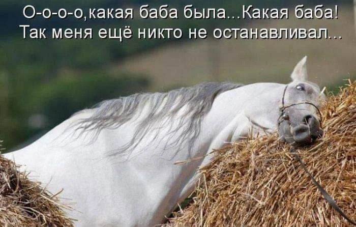 О-о-о, какая баба была...Какая баба! Так меня ещё никто не останавливал...