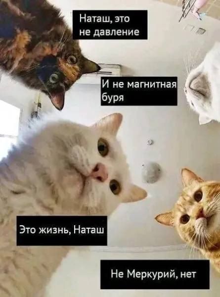 Наташ, это не давление И не магнитная буря Это жизнь, Наташ Не Меркурий, нет