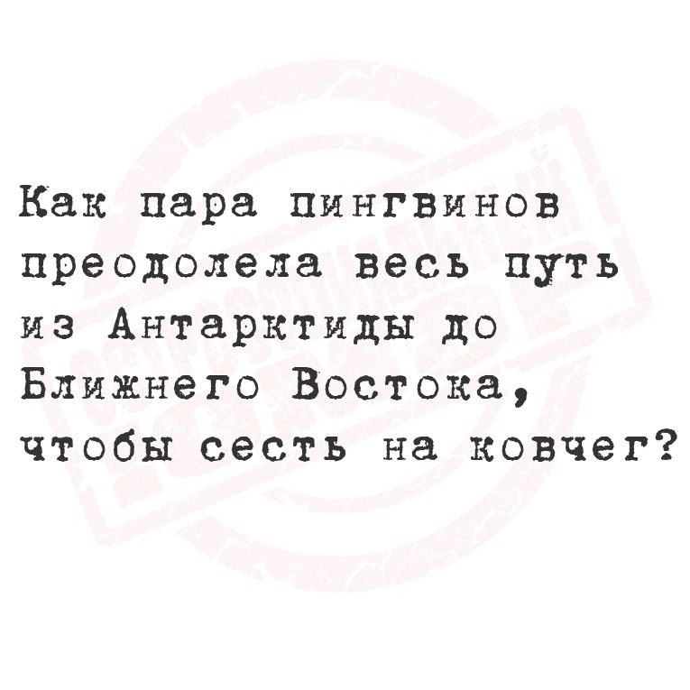 Как пара пингвинов преодолевала весь путь из Антарктиды до Ближнего Востока, чтобы сесть на ковчег?