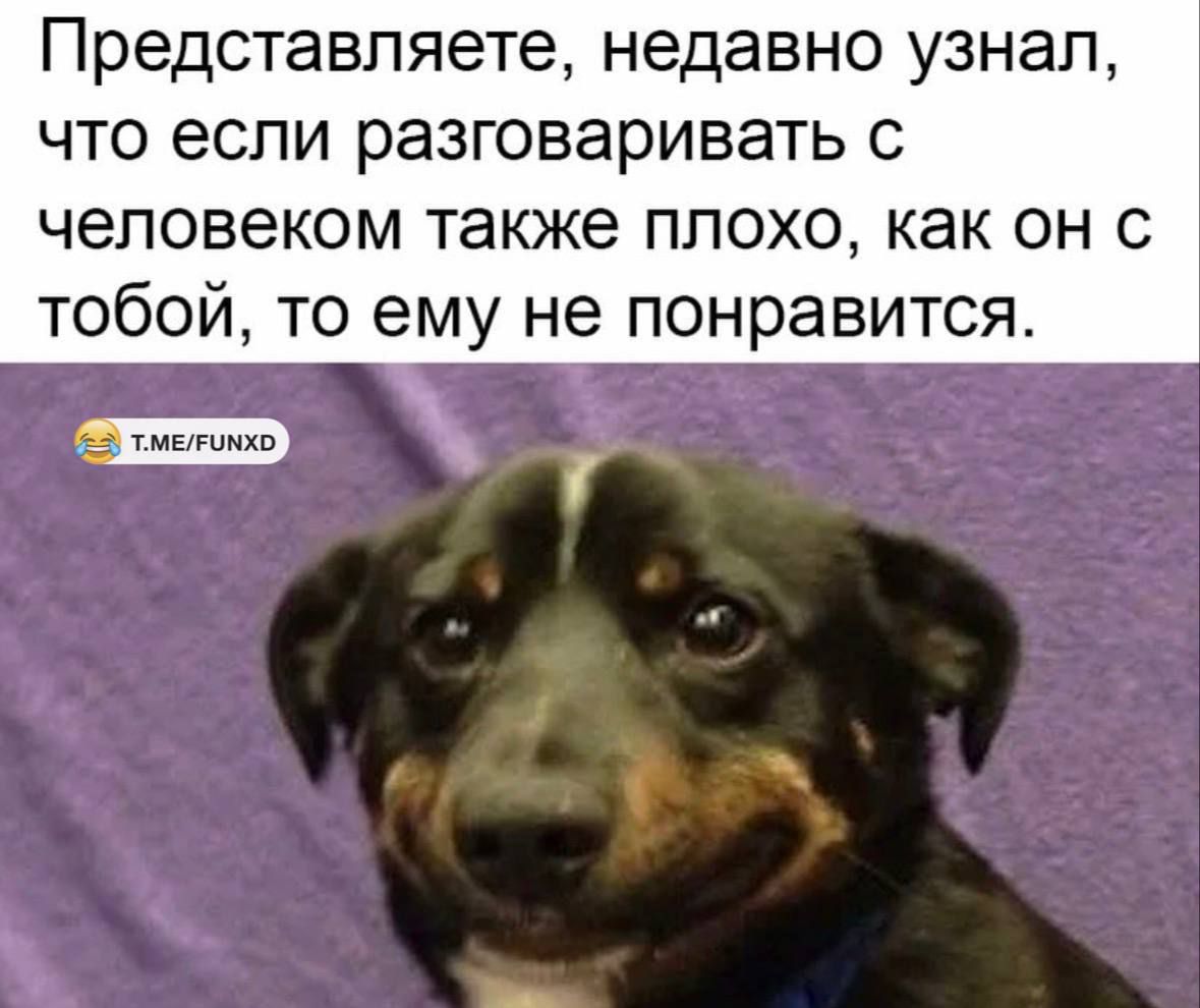 Представляете, недавно узнал, что если разговаривать с человеком тоже плохо, как он с тобой, то ему не понравится.