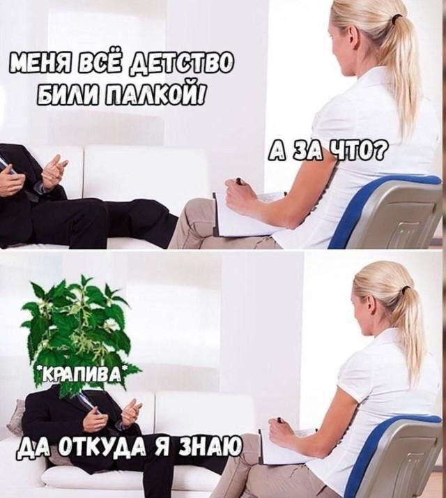 МЕНЯ ВСЁ ДЕТСТВО БИЛИ ПАЛКОЙ А ЗА ЧТО? КРАПИВА ДА ОТКУДА Я ЗНАЮ