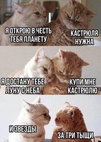 Я ОТКРОЮ В ЧЕСТЬ ТЕБЯ ПЛАНЕТУ
КАСТРЮЛЯ НУЖНА
Я ДОСТАНУ ТЕБЕ ЛУНУ С НЕБА
КУПИ МНЕ КАСТРЮЛЮ
ИЗВЕЗДЫ
ЗА ТРИ ТЫЩИ