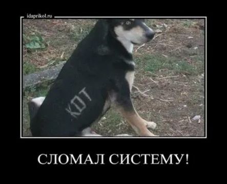 Сломал систему!