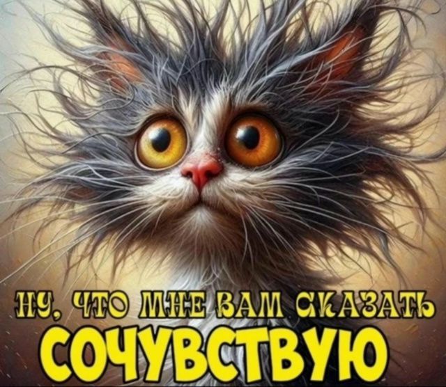 Ну, что мне вам сказать сочувствую