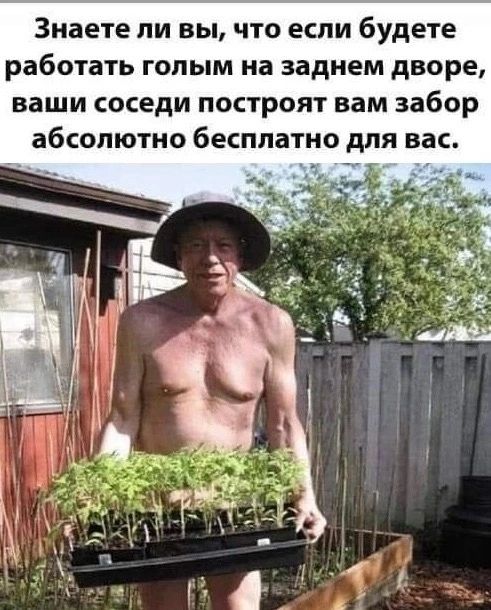 Знаете ли вы, что если будете работать голым на заднем дворе, ваши соседи построят вам забор абсолютно бесплатно для вас.