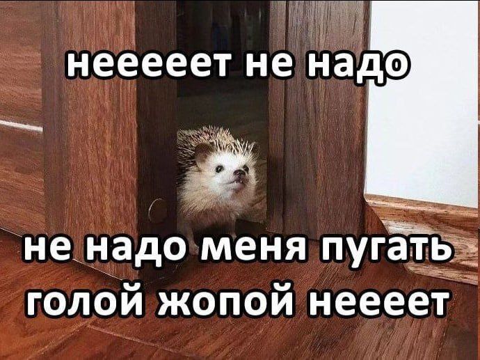 неееееет не надо не надо меня пугать голой жопой неееет