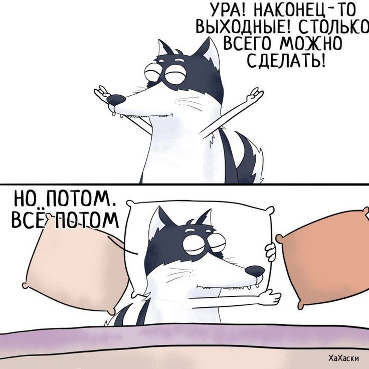 УРА! НАКОНЕЦ-ТО ВЫХОДНЫЕ! СТОЛЬКО ВСЕГО МОЖНО СДЕЛАТЬ! НО ПОТОМ... ВСЁ ПОТОМ