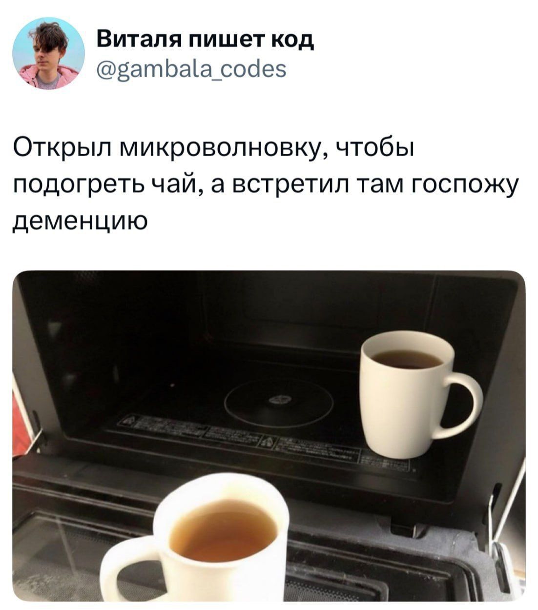 Открыл микроволновку, чтобы подогреть чай, а встретил там госпожу деменцию