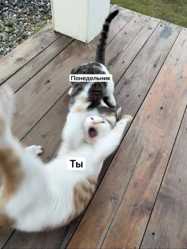 Понедельник
Ты