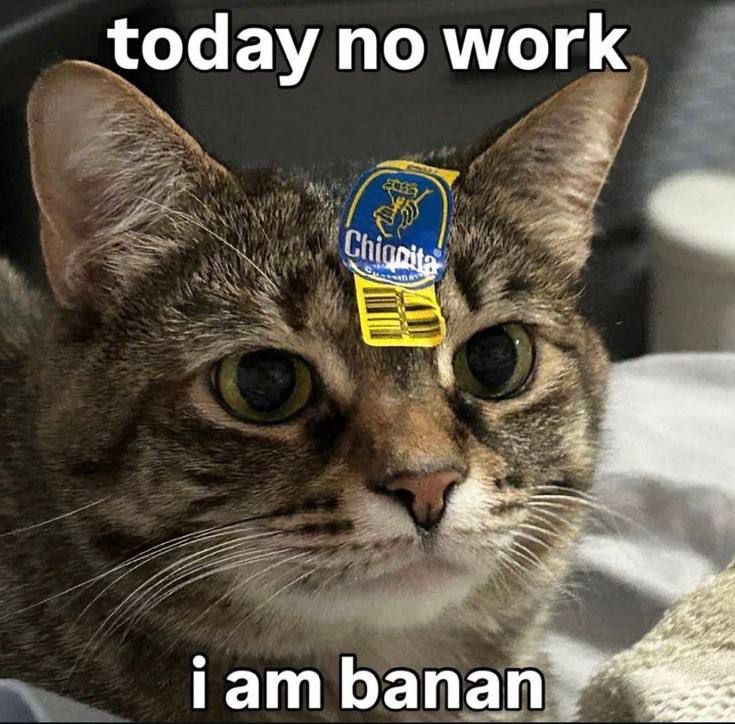 today no work
 i am banan