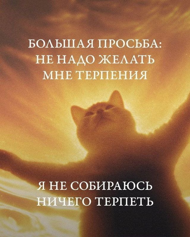 Большая просьба: не надо желать мне терпения Я не собираюсь ничего терпеть
