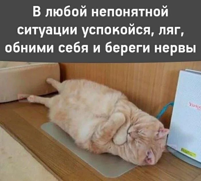В любой непонятной ситуации успокойся, ляг, обними себя и береги нервы