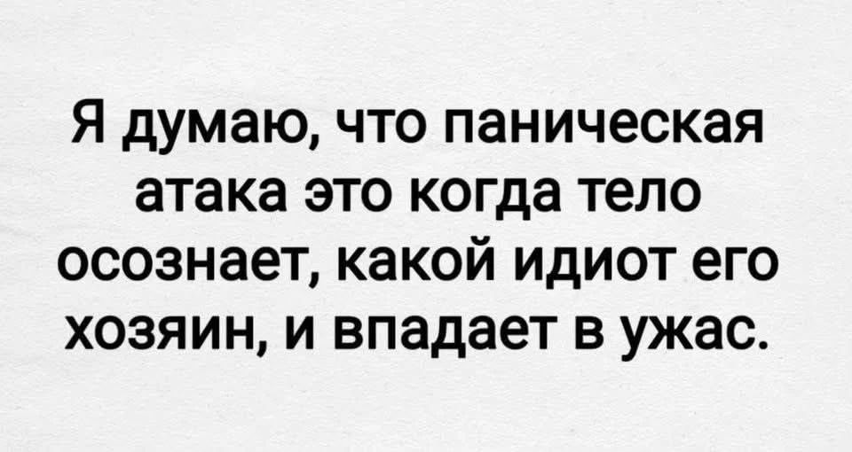 Я думаю, что паническая атака это когда тело осознает, какой идиот его хозяин, и впадает в ужас.